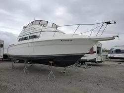 Carver Vehiculos salvage en venta: 1996 Carver Boat