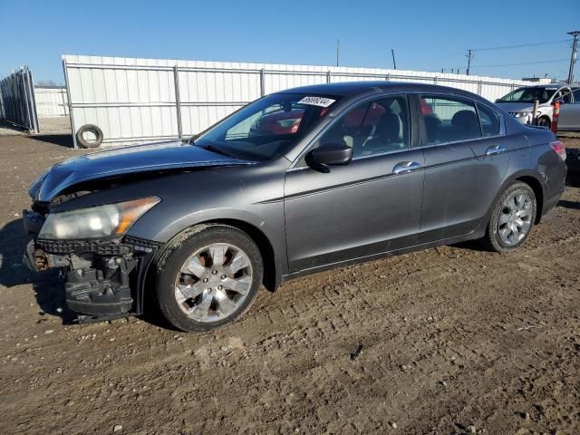 2010 Honda Accord EXL