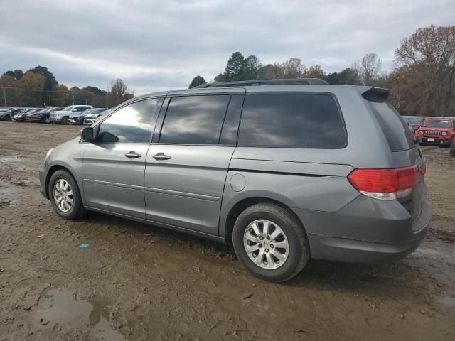 2009 Honda Odyssey EXL