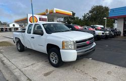 2010 Chevrolet Silverado C1500 en venta en Apopka, FL