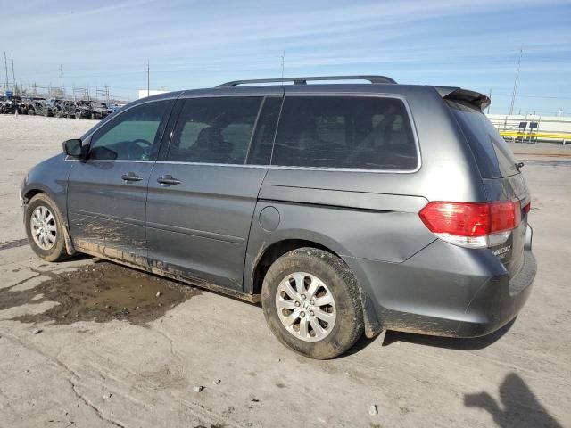 2010 Honda Odyssey EXL