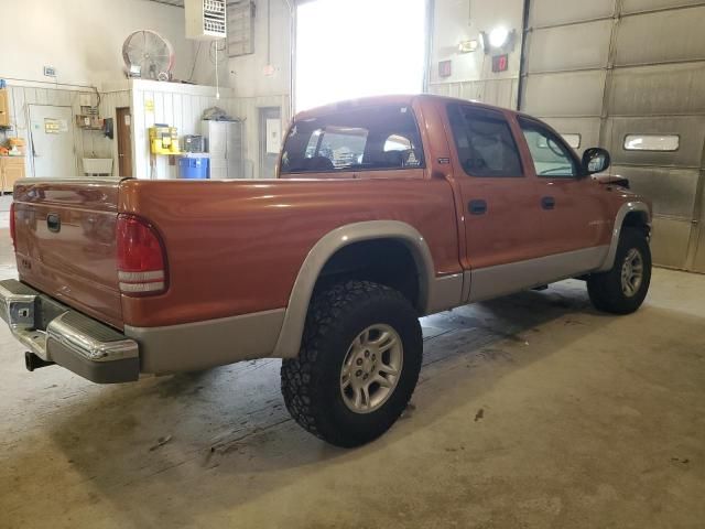 2000 Dodge Dakota Quattro