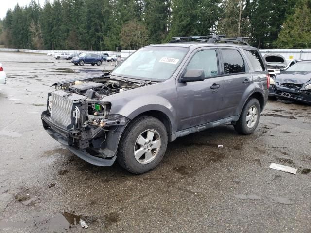 2012 Ford Escape XLT