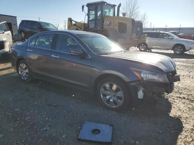 2010 Honda Accord EXL