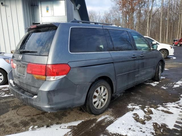 2010 Honda Odyssey EXL