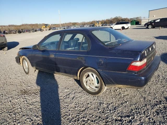 1996 Toyota Corolla