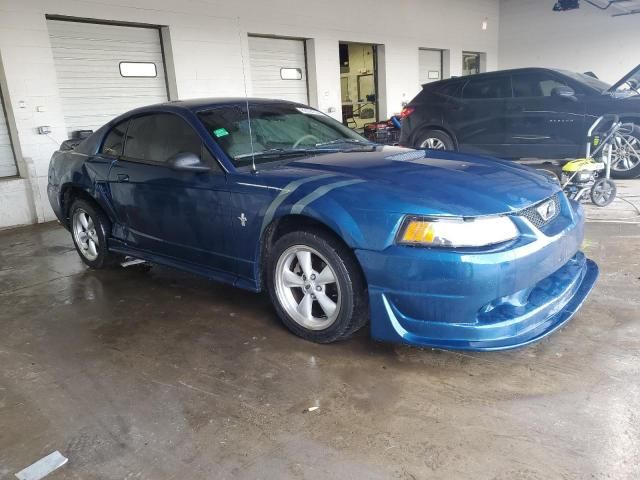 2000 Ford Mustang