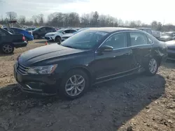 Salvage cars for sale at Chalfont, PA auction: 2017 Volkswagen Passat S