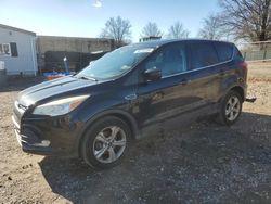 Salvage cars for sale at Laurel, MD auction: 2013 Ford Escape SE