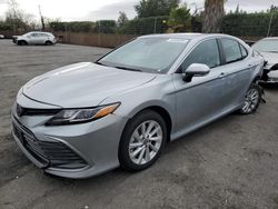 Salvage cars for sale at San Martin, CA auction: 2024 Toyota Camry LE