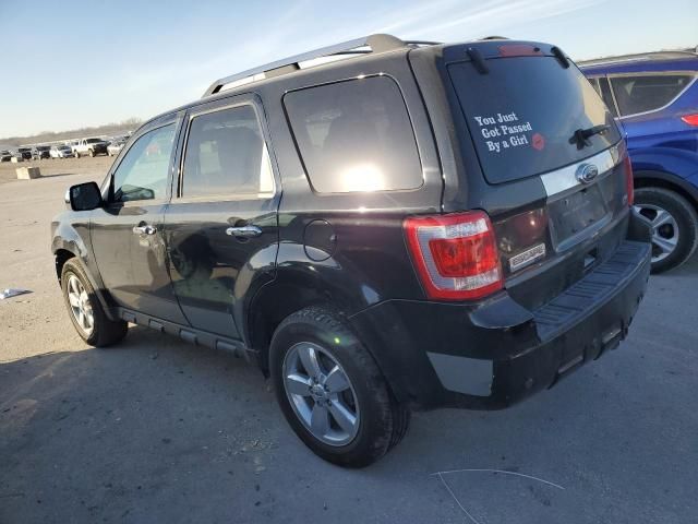 2010 Ford Escape Limited