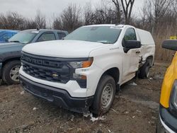 Chevrolet salvage cars for sale: 2023 Chevrolet Silverado C1500