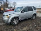 2009 Mazda Tribute I