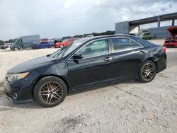 Salvage cars for sale from Copart West Palm Beach, FL: 2013 Toyota Camry L