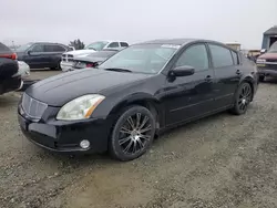 2005 Nissan Maxima SE en venta en Antelope, CA