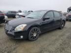 2005 Nissan Maxima SE