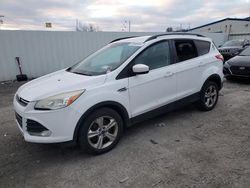 Vehiculos salvage en venta de Copart Albany, NY: 2014 Ford Escape SE