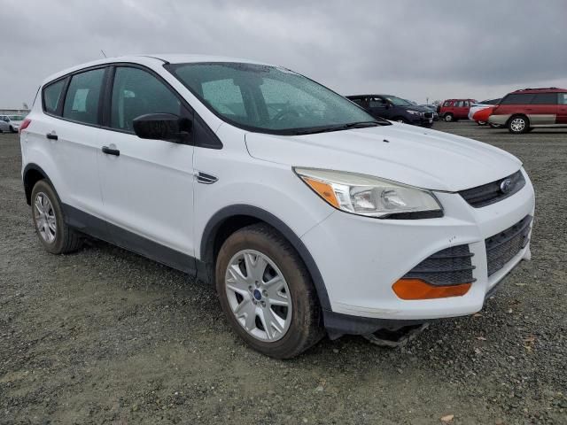 2013 Ford Escape S