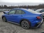 2023 Subaru WRX