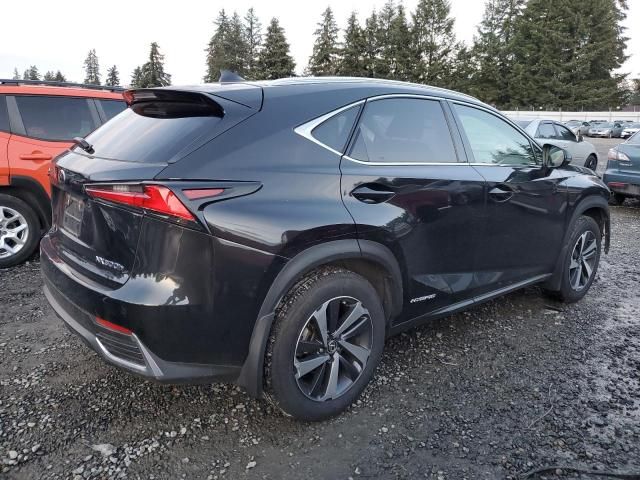 2018 Lexus NX 300H