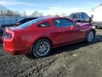 2013 Ford Mustang