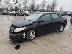 2009 Toyota Corolla Base en venta en Cicero, IN