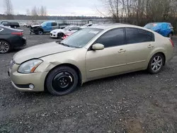 2004 Nissan Maxima SE en venta en Arlington, WA