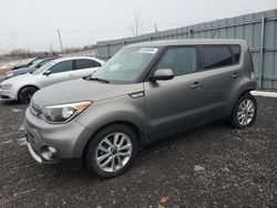 Salvage cars for sale at Ottawa, ON auction: 2018 KIA Soul +