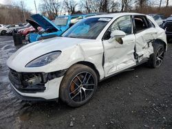 Porsche salvage cars for sale: 2023 Porsche Macan Base