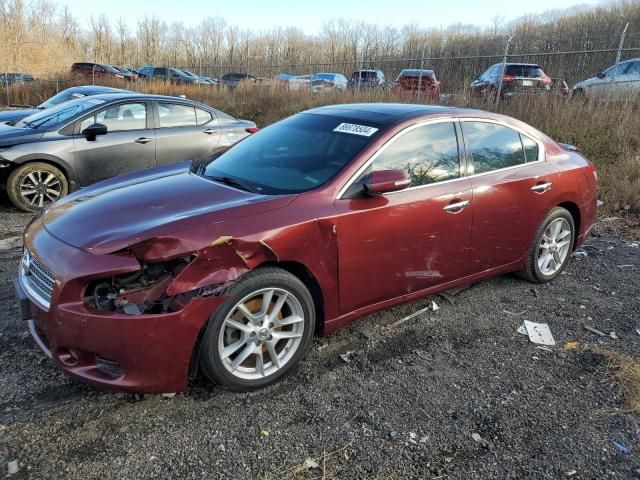 2009 Nissan Maxima S