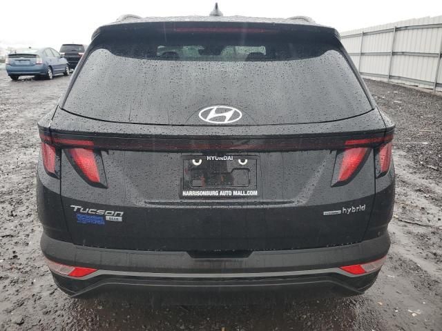 2024 Hyundai Tucson Blue