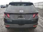 2024 Hyundai Tucson Blue