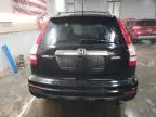 2010 Honda CR-V EXL