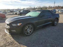 Salvage cars for sale at Lawrenceburg, KY auction: 2017 Ford Mustang