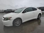 2006 Scion TC