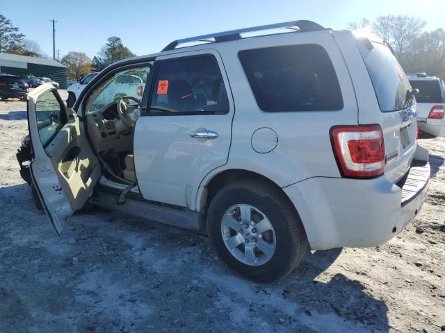 2011 Ford Escape Limited