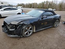 Salvage cars for sale at Cookstown, ON auction: 2016 Ford Mustang