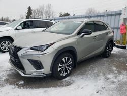 Salvage cars for sale from Copart Bowmanville, ON: 2019 Lexus NX 300 Base