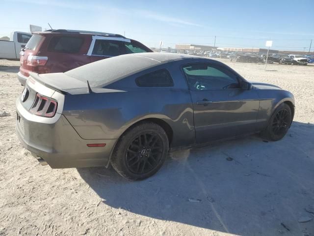 2014 Ford Mustang