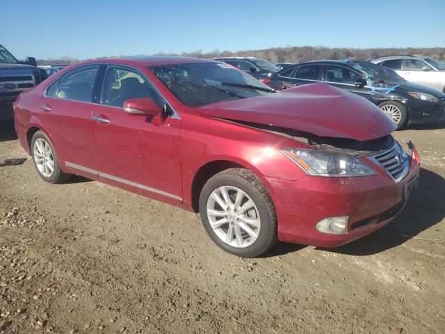 2010 Lexus ES 350