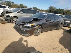 Salvage cars for sale from Copart Theodore, AL: 2024 Toyota Camry XLE