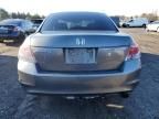 2008 Honda Accord LXP