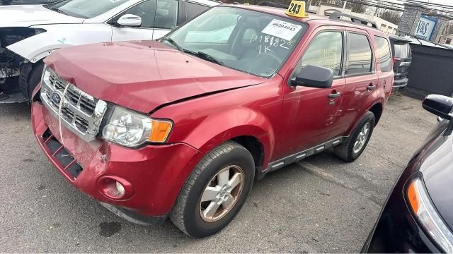 2010 Ford Escape XLT