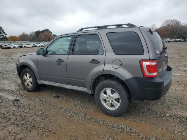 2009 Ford Escape XLT