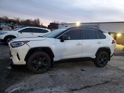 Salvage cars for sale at New Britain, CT auction: 2019 Toyota Rav4 XSE