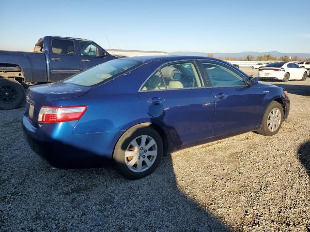 2009 Toyota Camry Hybrid