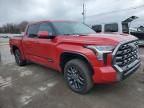 2023 Toyota Tundra Crewmax Platinum