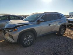 Salvage cars for sale at Phoenix, AZ auction: 2023 Hyundai Tucson Blue