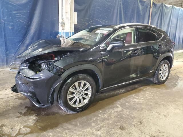 2021 Lexus NX 300H Base