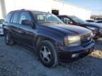 2008 Chevrolet Trailblazer LS